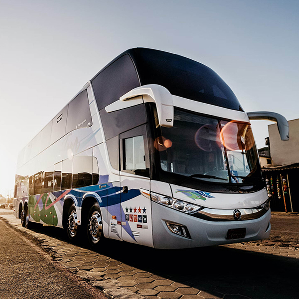 charter bus